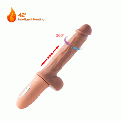 Gode Va et Vient Realistique Silicone